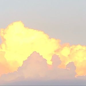 Meet your Posher, Carly